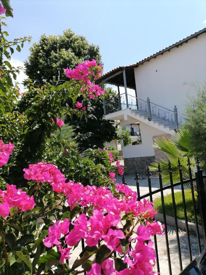 Porto Sun Apartment *